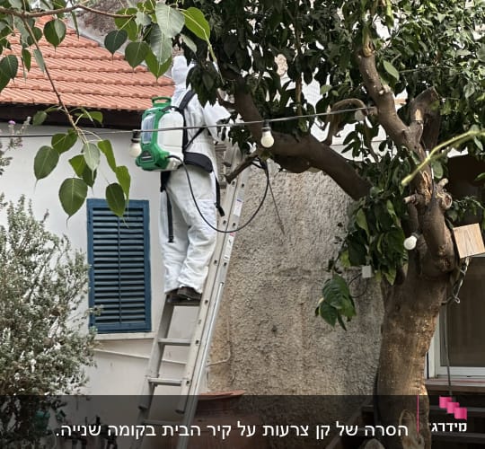 מדביר בחליפת מיגון עומד על סולם ומבצע ריסוס על עץ בחצר בית